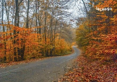 پارک جنگلی سراوان در فصل پاییز