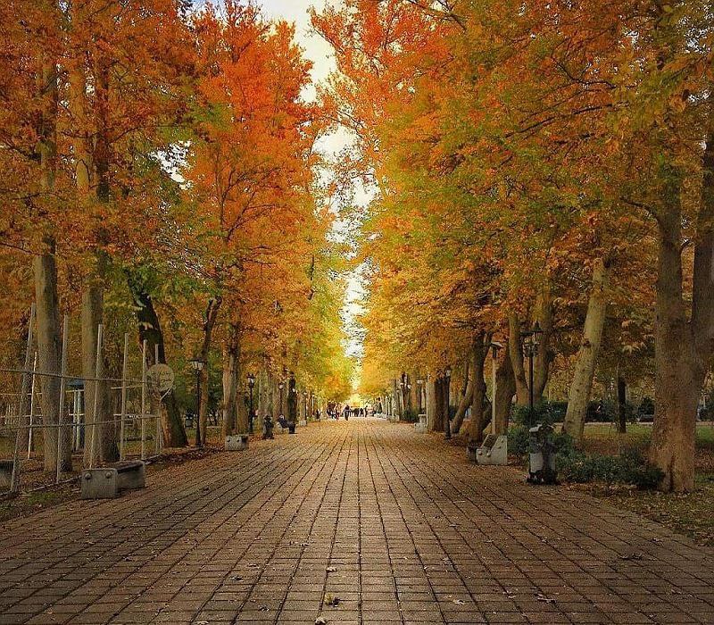 عکس پارک شهر رشت در فصل پاییز