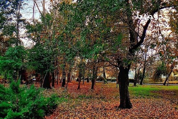 عکس از پارک ملت رشت در فصل پاییز