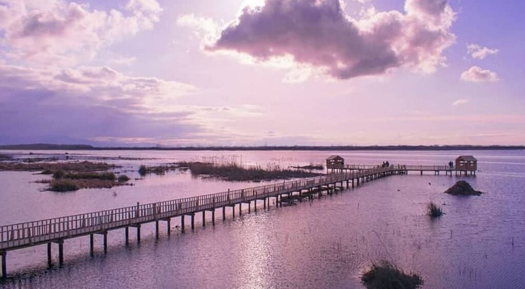 نمای کلی از تالاب امیرکلایه لاهیجان