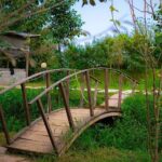 پل چوبی در اقامتگاه باغ ریحان لاهیجان