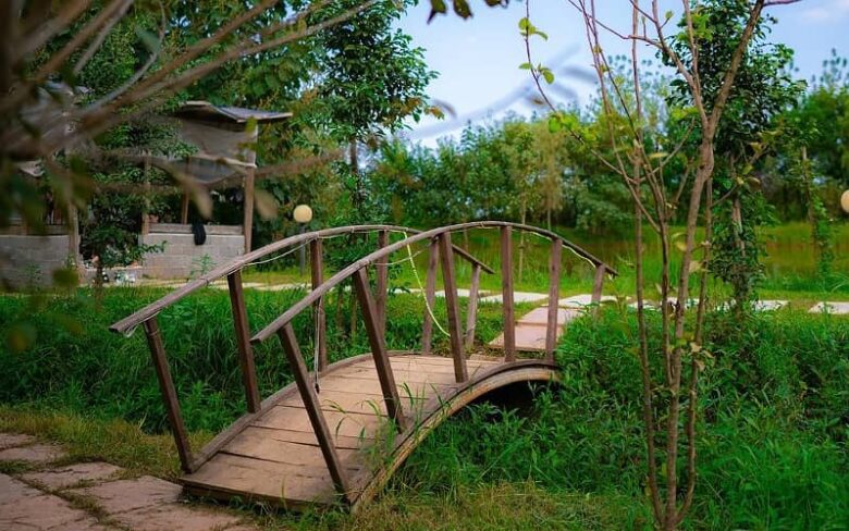پل چوبی در اقامتگاه باغ ریحان لاهیجان