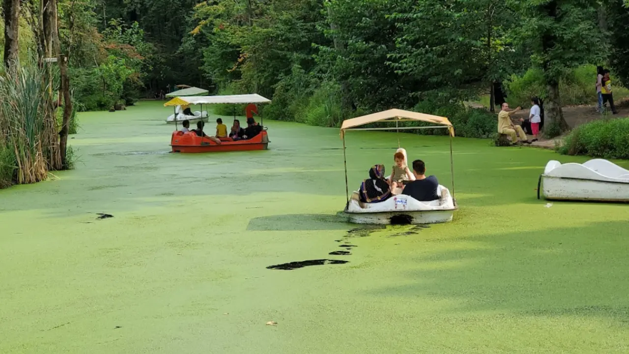 جاهای دیدنی گیلان در تابستان: 10 مقصد خنک برای فرار از گرما و لذت طبیعت سبز